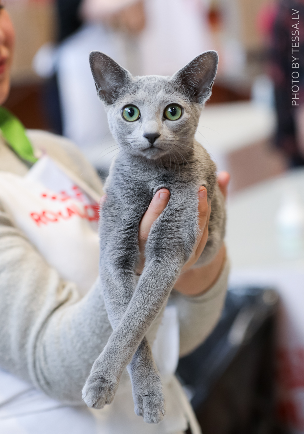 Neytiri aka Birgitta. Kuva Tessa.lv.